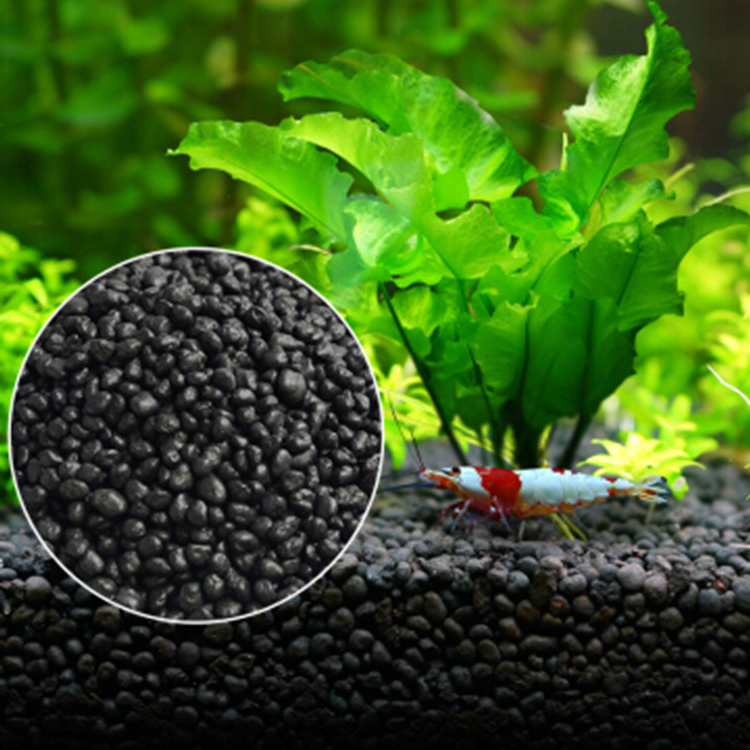 Aquarium Marine Plants - Sol de graines de plantes d'aquarium,