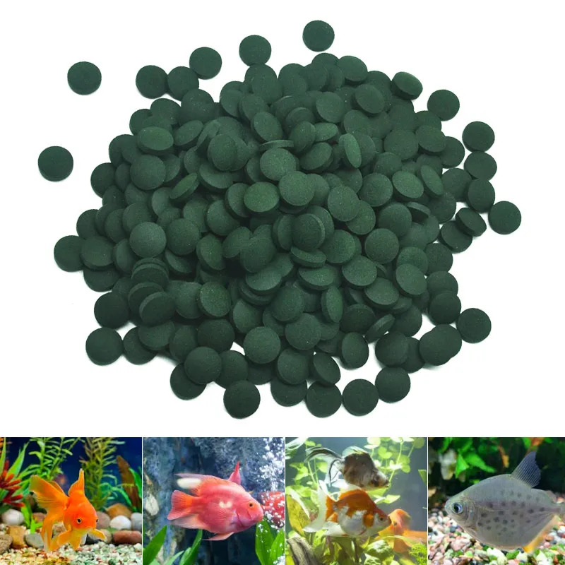 100-3000pc comprimés de spirul - Marine Aquarium Bacteria avis et prix