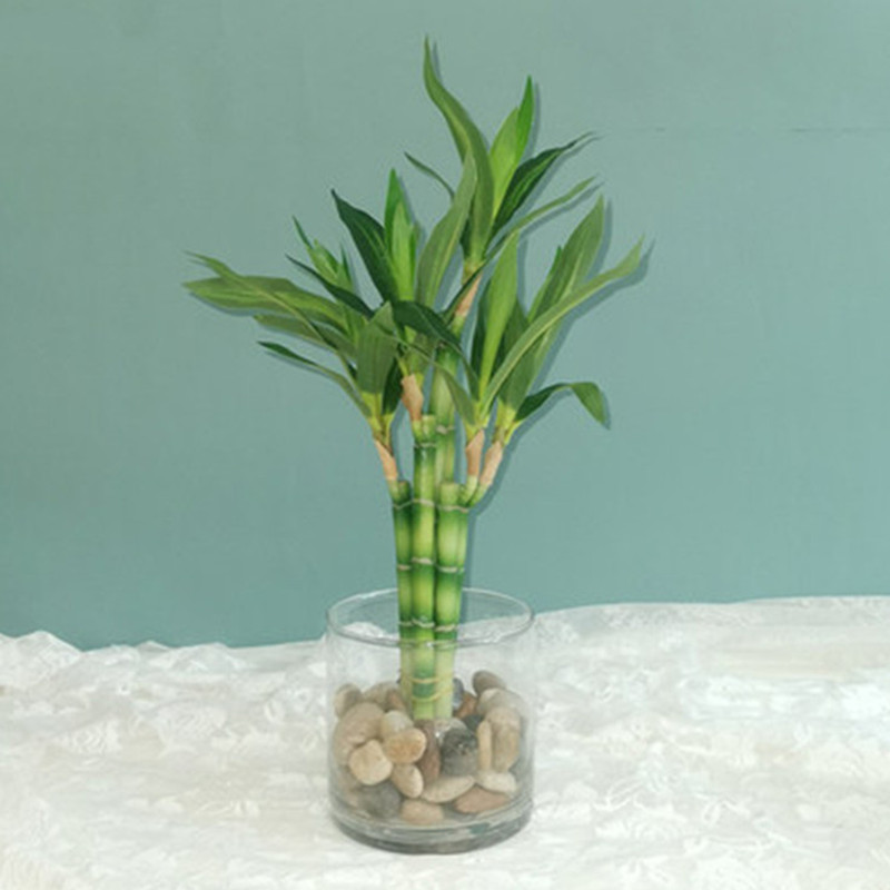 Nouveau 40cm rFtificial chance - Aquarium Marine Plants avis et prix