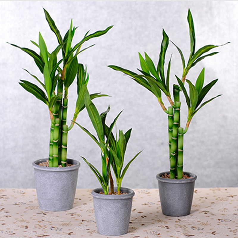 Nouveau 40cm rFtificial chance - Aquarium Marine Plants avis et prix