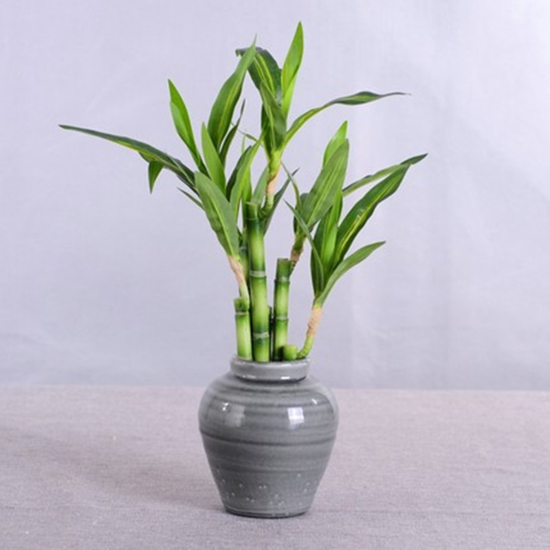 Nouveau 40cm rFtificial chance - Aquarium Marine Plants avis et prix