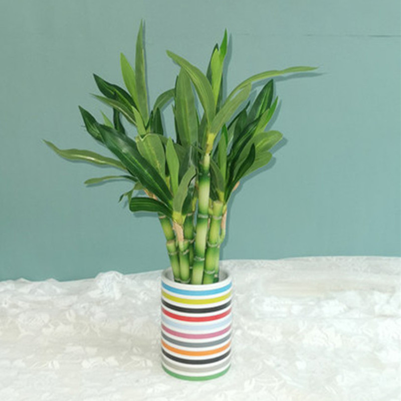 Nouveau 40cm rFtificial chance - Aquarium Marine Plants avis et prix