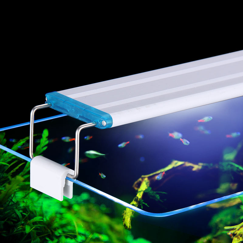 Extensible Étanche Clip sur La - Aquarium Marine Plants avis et prix