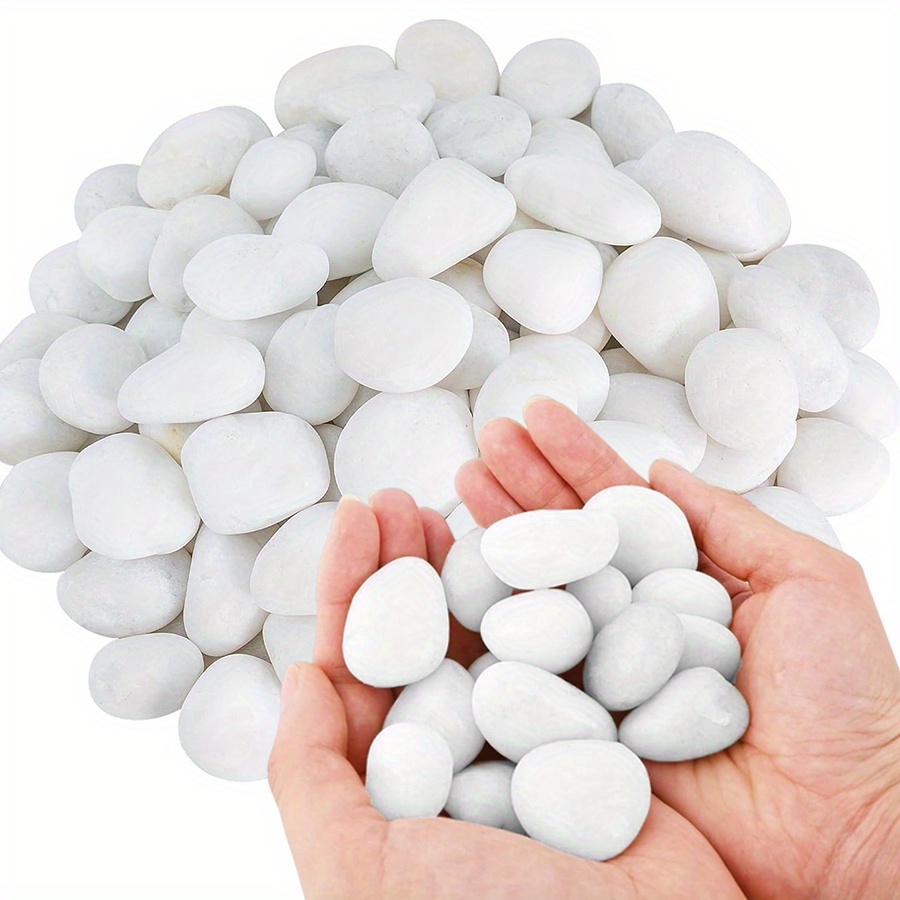 Cerfsets naturels blancs haute - Aquarium Marine Plants avis et prix