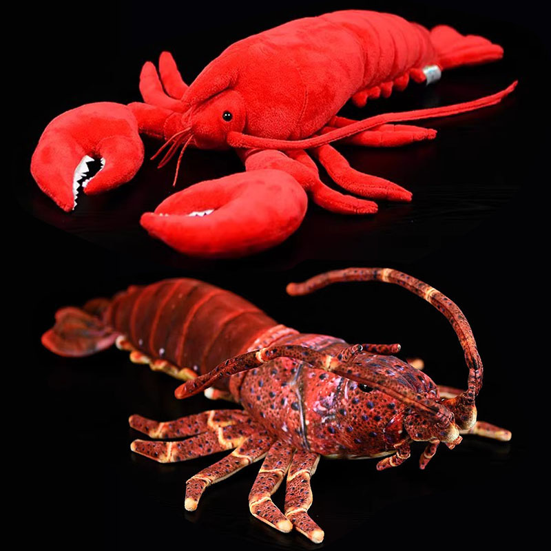 Simulation d'animal australien - Aquarium Marine Park avis et prix