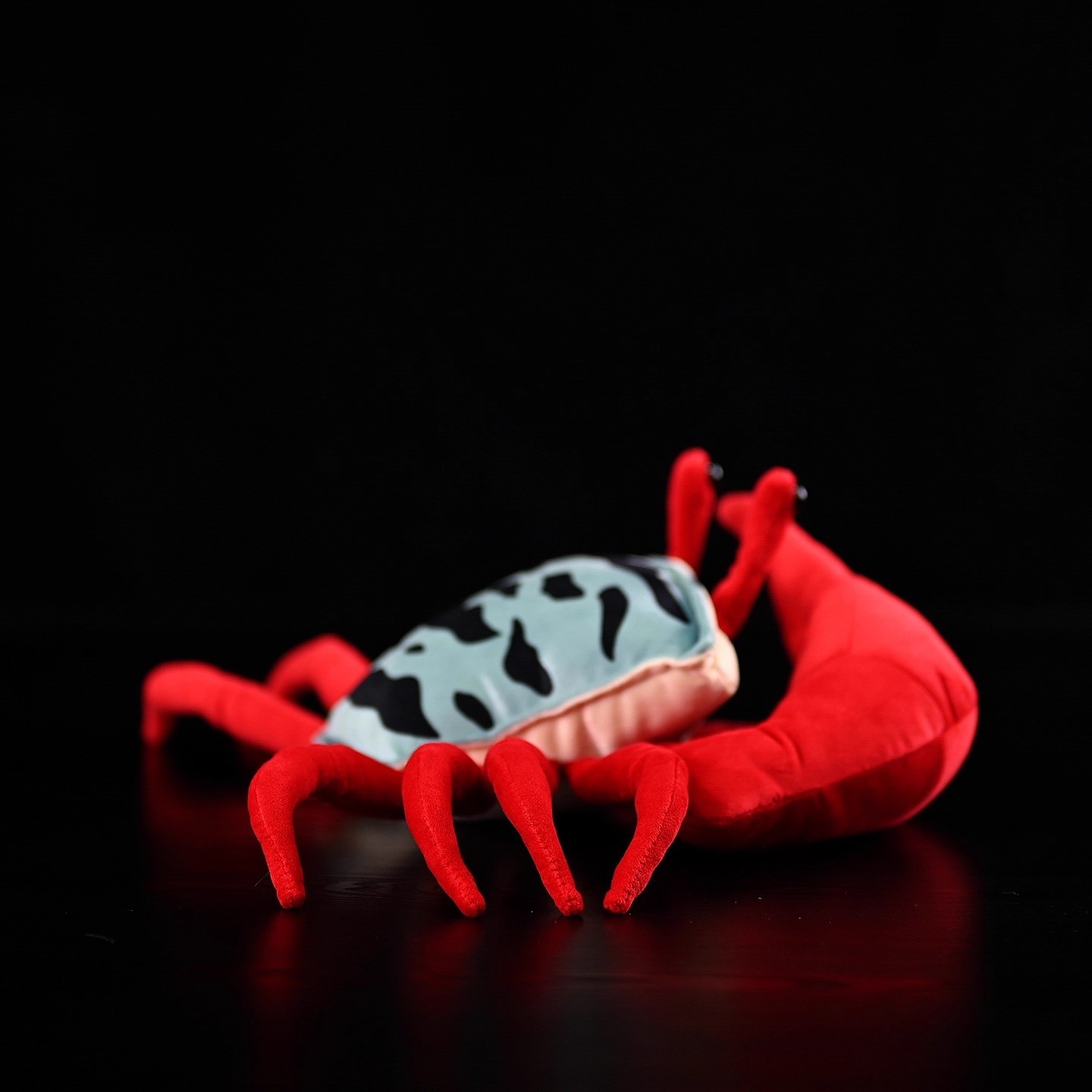 Griffe rouge Fiddler crabe mer - Aquarium Marine Park avis et prix