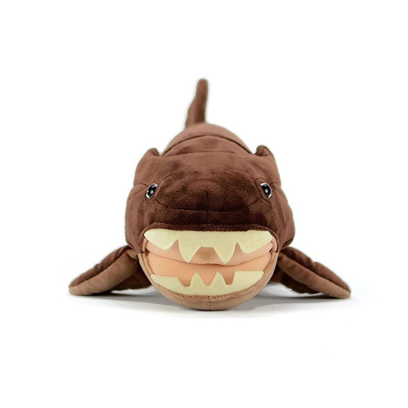 Dunkleosteus terrelli Dunkle p - Aquarium Marine Park avis et prix