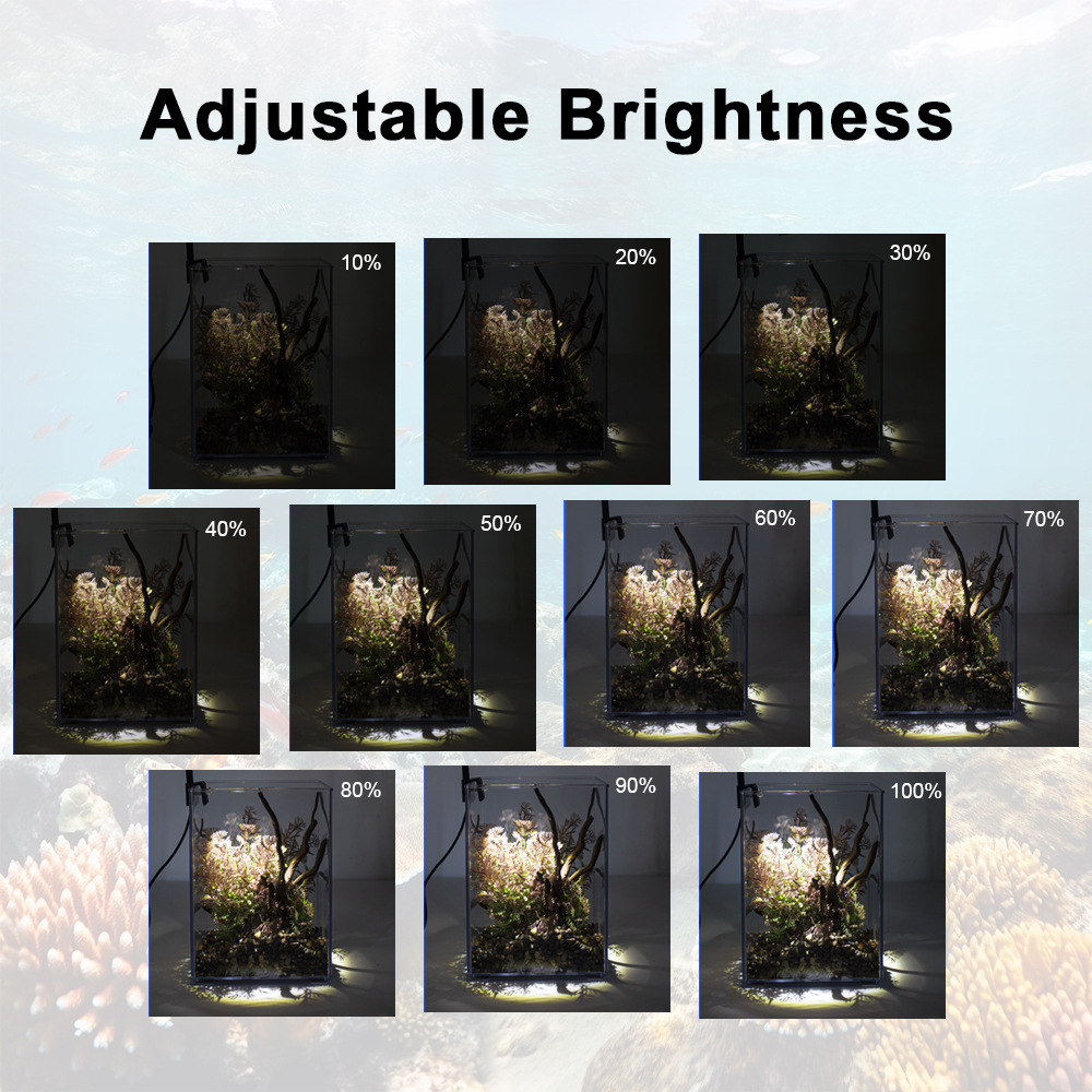 Lampe LED à clipser pour aquar - Marine Aquarium Mini avis et prix