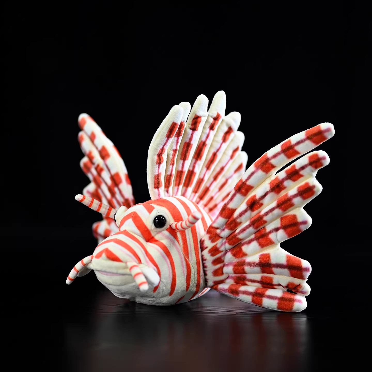 Pterois volitans corail récif  - Aquarium Marine Park avis et prix