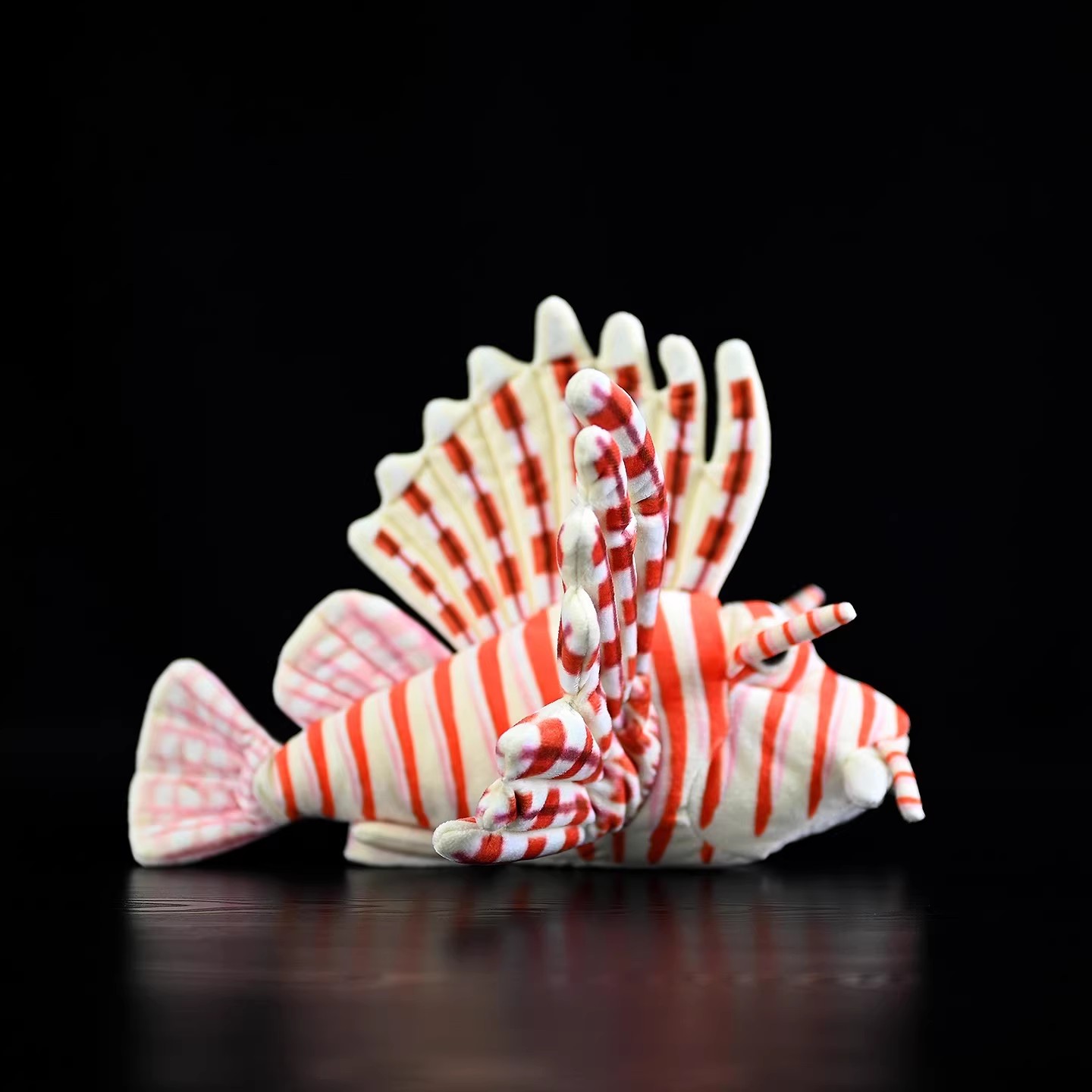 Pterois volitans corail récif  - Aquarium Marine Park avis et prix