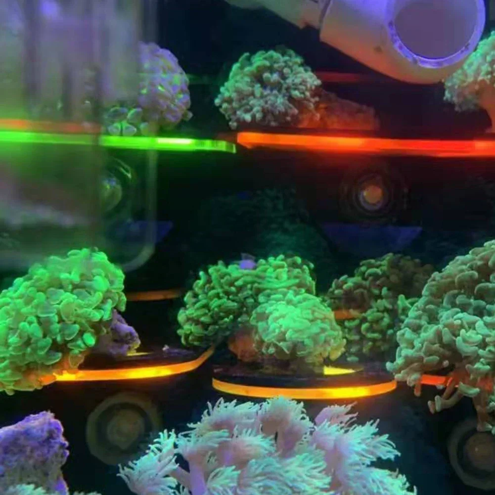 Supports de corail fluorescent - Marine Aquarium Reef avis et prix