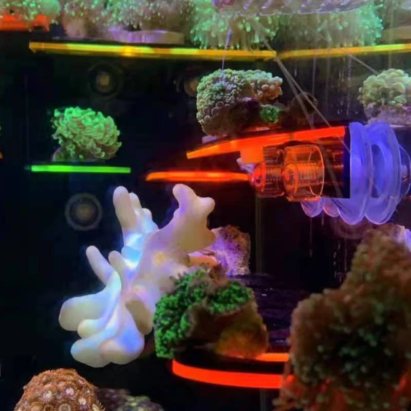 Supports de corail fluorescent - Marine Aquarium Reef avis et prix