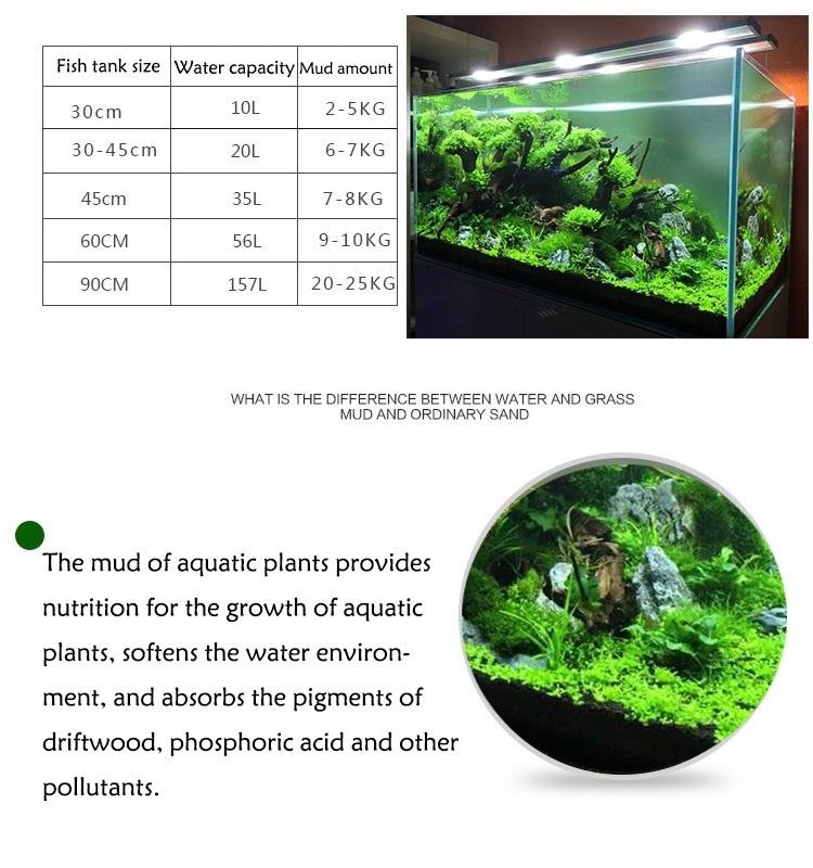 Sol de graines de plantes d'aq - Aquarium Marine Plants avis et prix