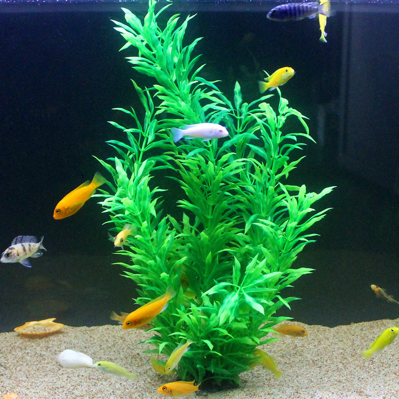 Plantes artificielles pour aqu - Aquarium Marine Plants avis et prix