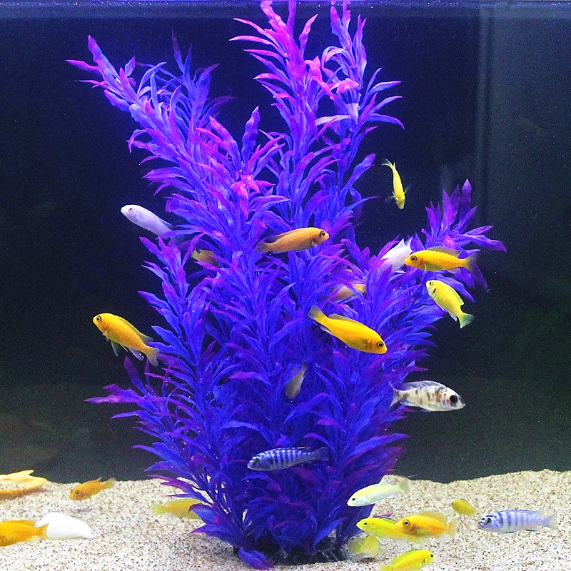 Plantes artificielles pour aqu - Aquarium Marine Plants avis et prix