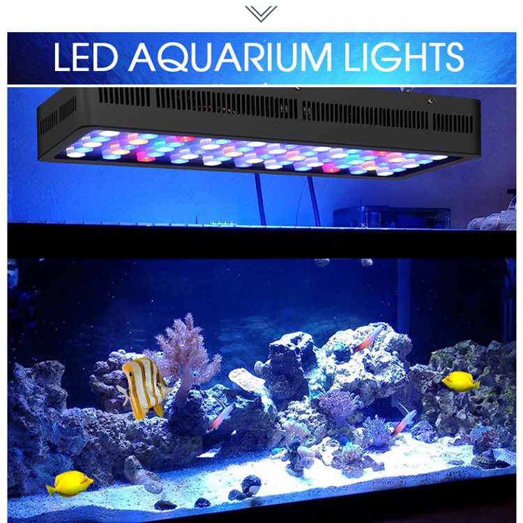 BT contrôle sans fil bricolage - Marine Aquarium Price avis et prix