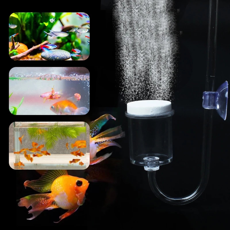 Diffuseur de CO2 pour aquarium - Aquarium Marine Plants avis et prix